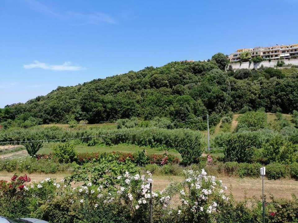 Zio Tonino Acomodação com café da manhã Termoli Exterior foto